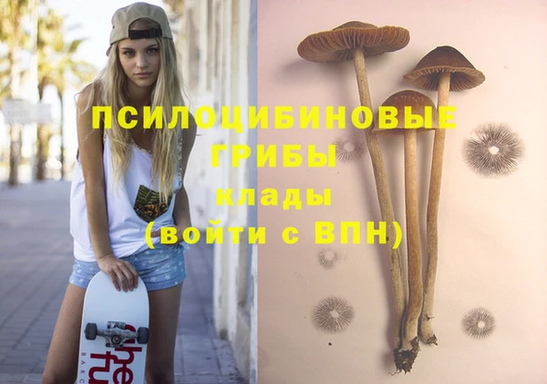 PSILOCYBIN Алексин