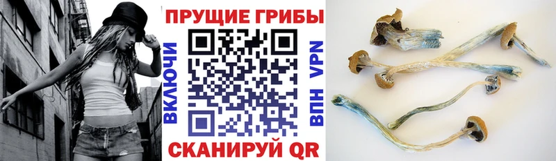Галлюциногенные грибы мухоморы  Боровичи 