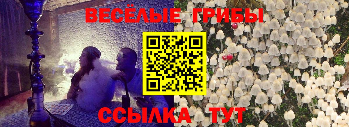 Галлюциногенные грибы Cubensis Боровичи