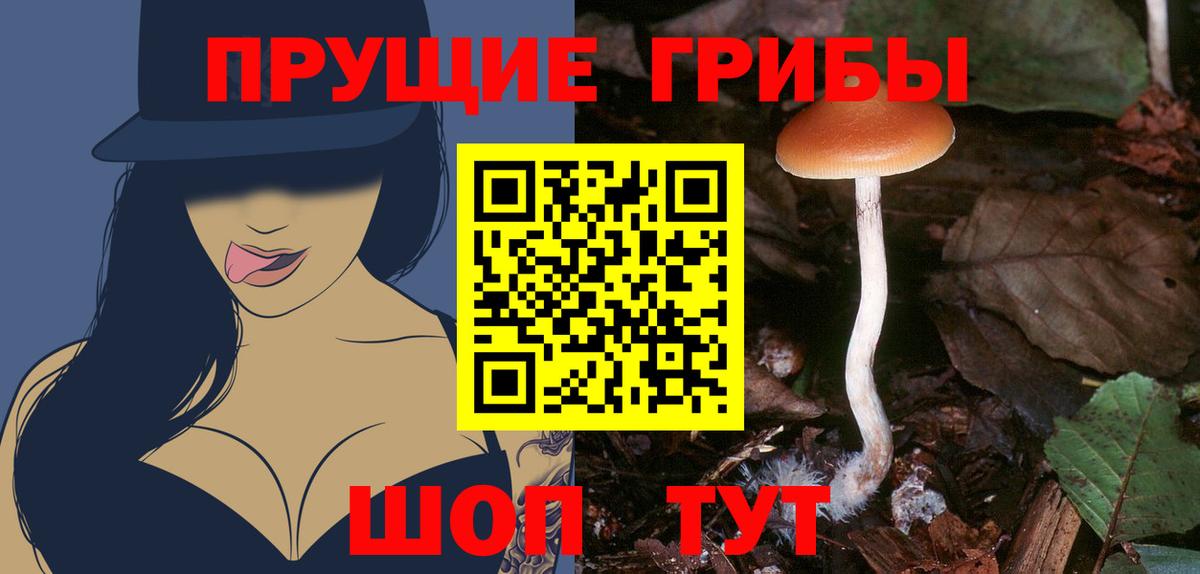 Псилоцибиновые грибы MAGIC MUSHROOMS  Вход с VPN  Боровичи 
